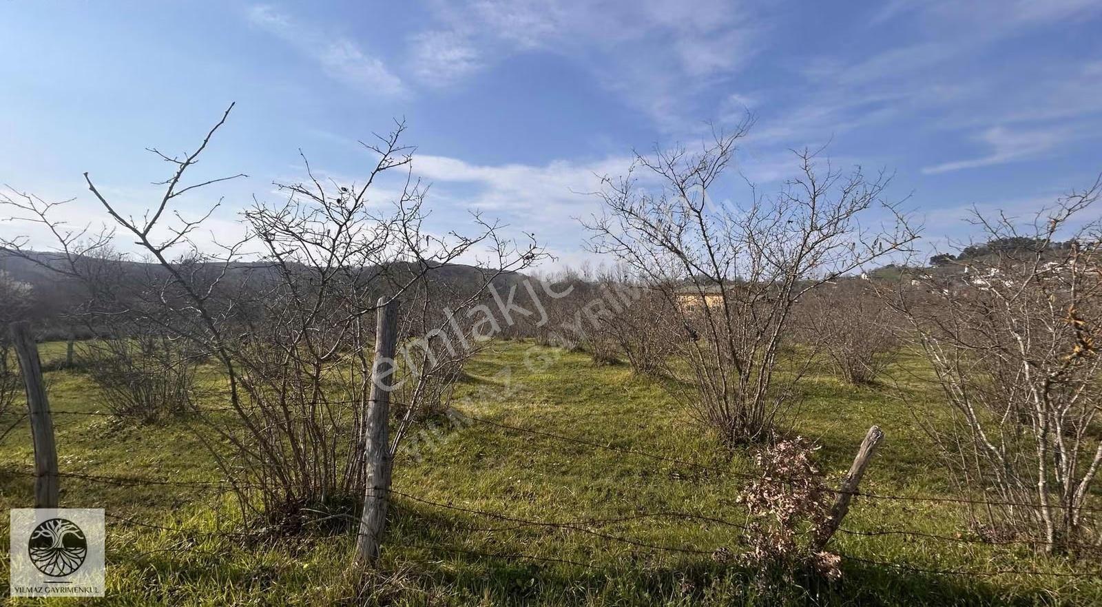 Şile Geredeli'de 3494 M² Manzaralı Satılık Arazi - Görsel 10