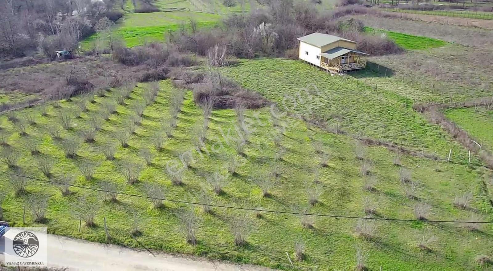 Şile Geredeli'de 3494 M² Manzaralı Satılık Arazi - Görsel 6