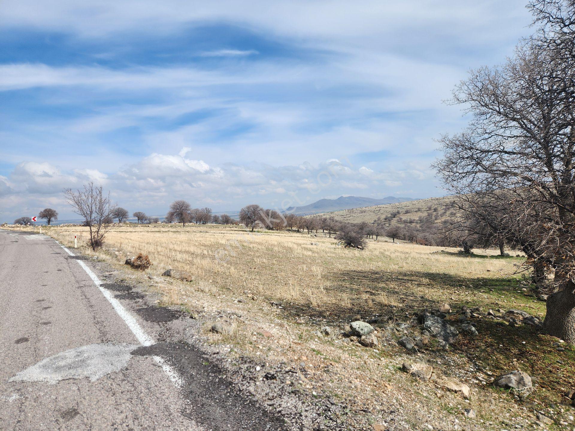 Konya Emirgazi 12.750 M2 Elektrik Su Asfalt Cephe Köy Yanı Arsa - Görsel 15