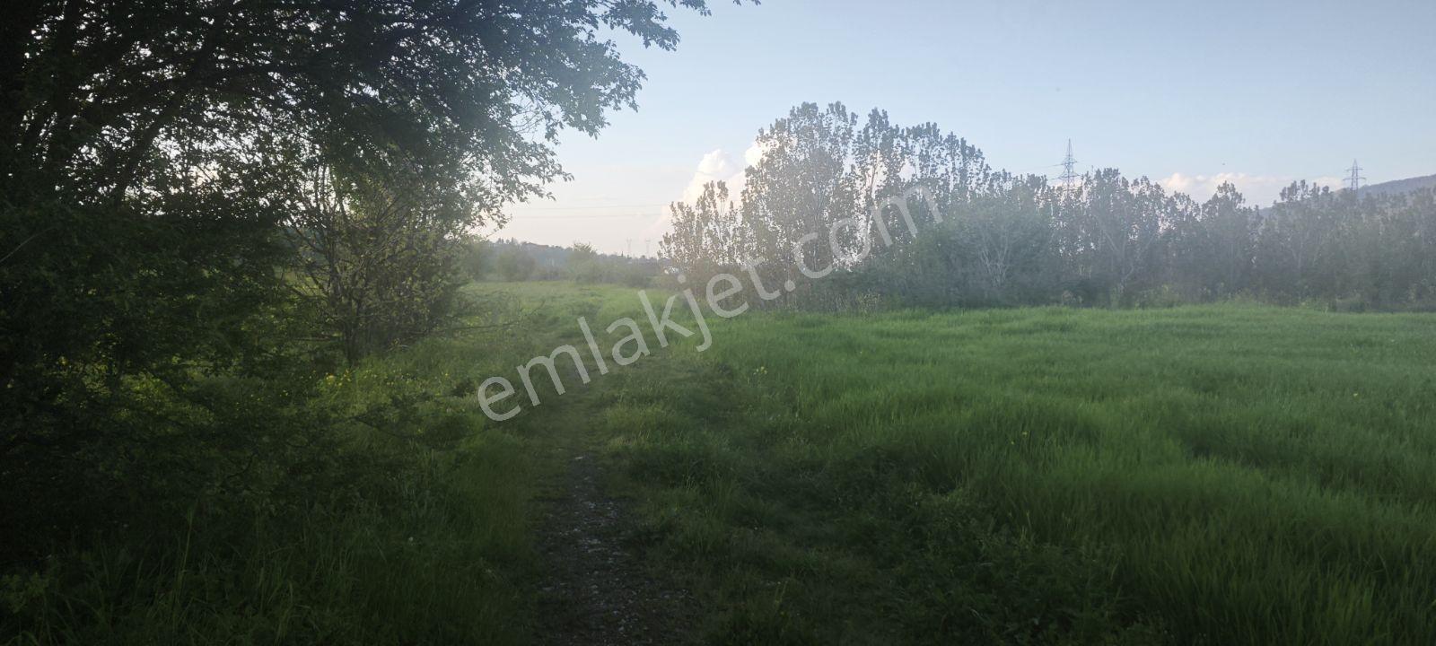 Müstakil Tapu Manzaralı - Görsel 18