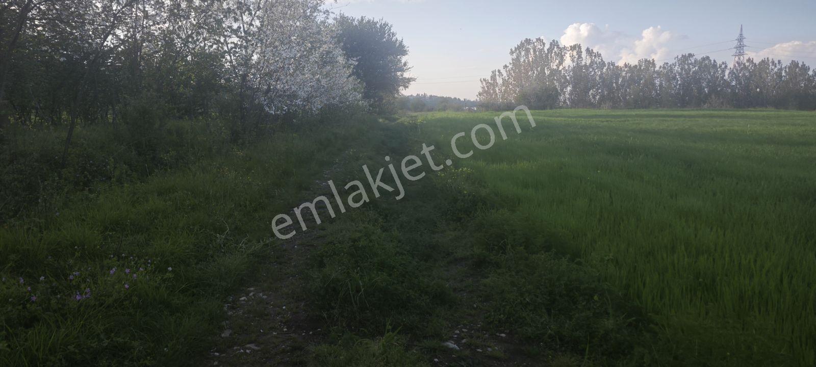 Müstakil Tapu Manzaralı - Görsel 8