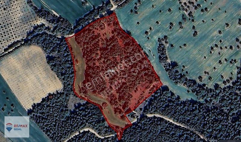 Çanakkale Eceabat İsmetpaşa'da 33.750m² Satılık Tarla - Görsel 2