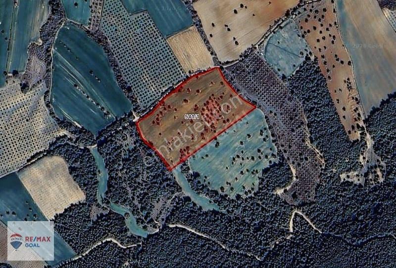 Çanakkale Eceabat İsmetpaşa'da 32.000m² Satılık Tarla - Görsel 2