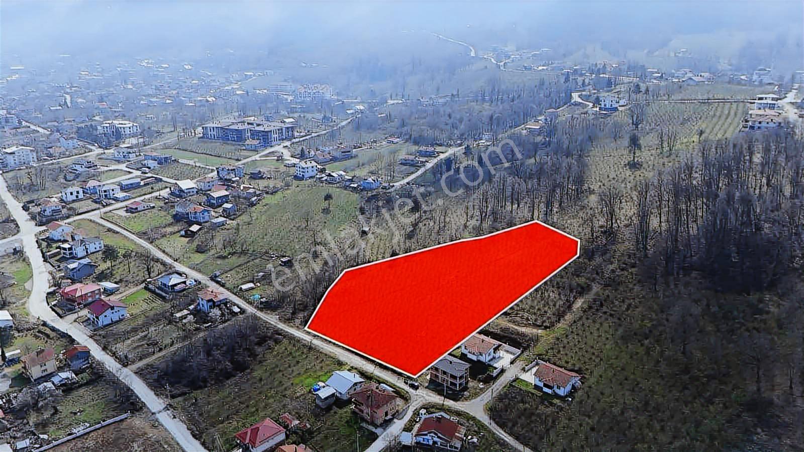 Ruşen Aydın Gyd'dan Kaynaşlı Çele / Karaçalı'da Satılık Arazi - Görsel 12