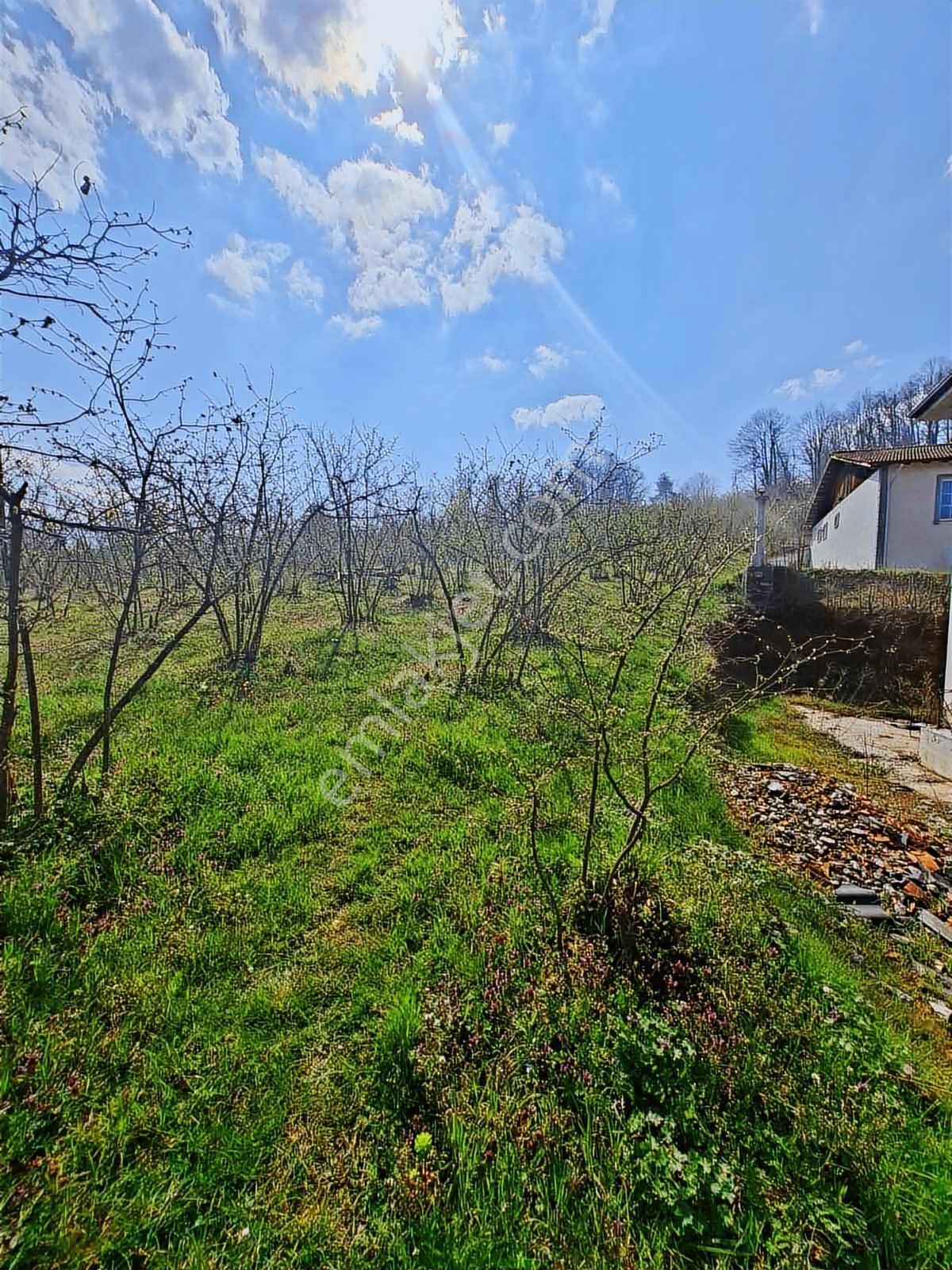 Ruşen Aydın Gyd'dan Kaynaşlı Çele / Karaçalı'da Satılık Arazi - Görsel 13