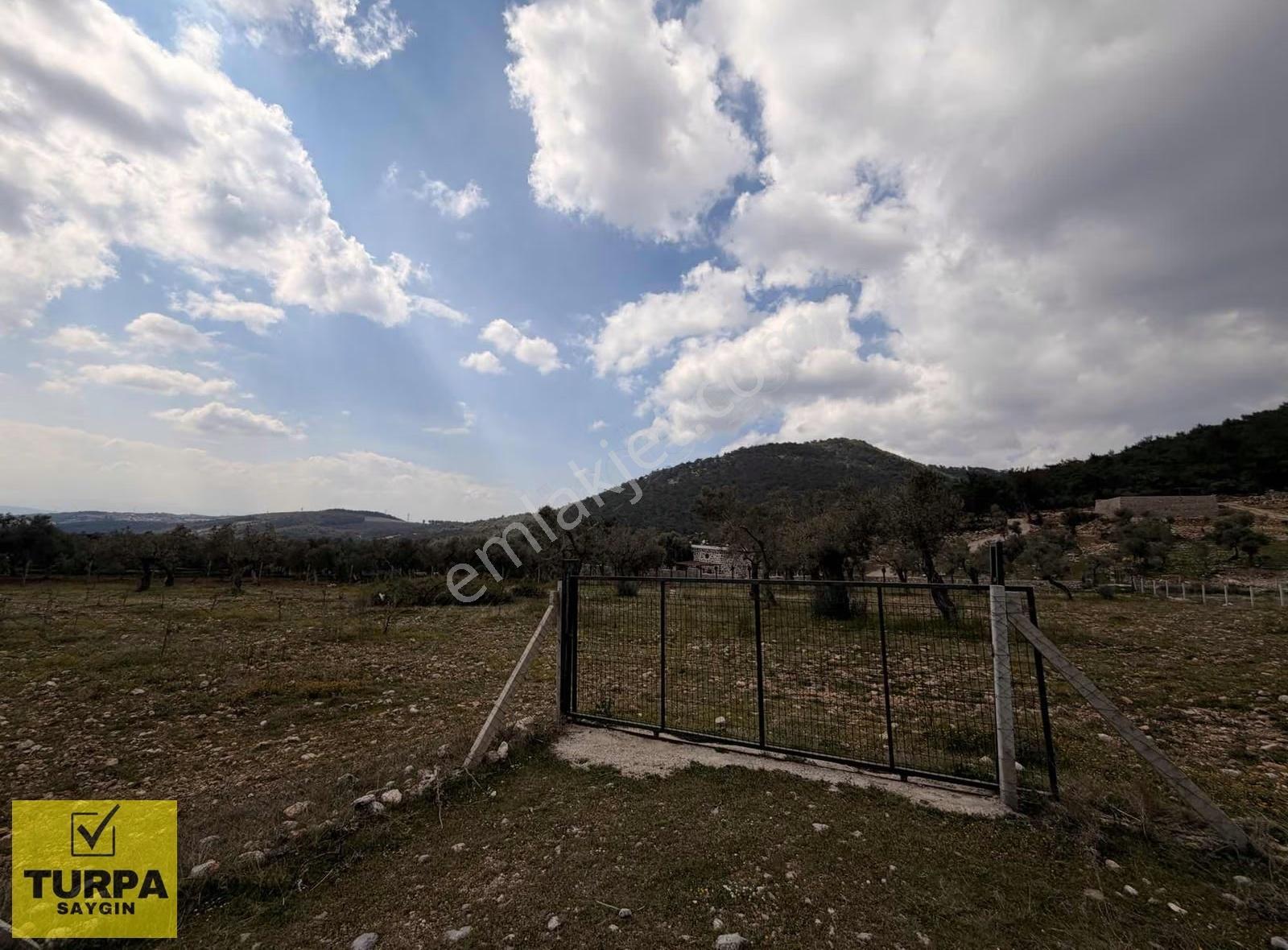 Buca Kırıklarda Köy Merkezine 3 Dakika Satılık Tarla