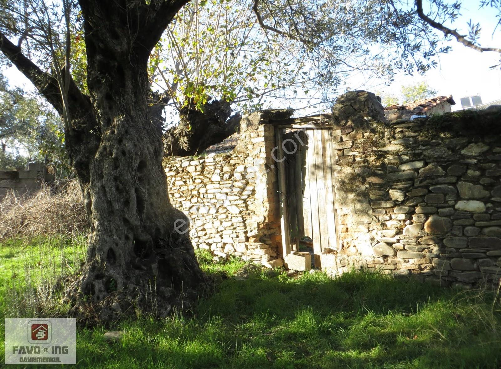 Bayındır Canlı | 858 M2 Avlulu Kargir Ev Ve Dam | Satılık - Görsel 3