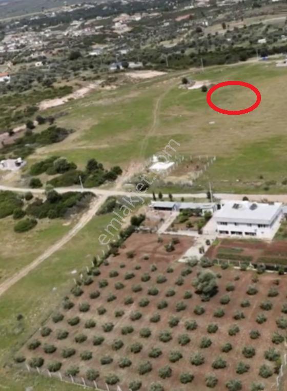 Sahibinden, Bafa Gölü Yakını, İmarlı Altyapılı, Bitişik 2 Bağımsız Villa Arsası - Görsel 5
