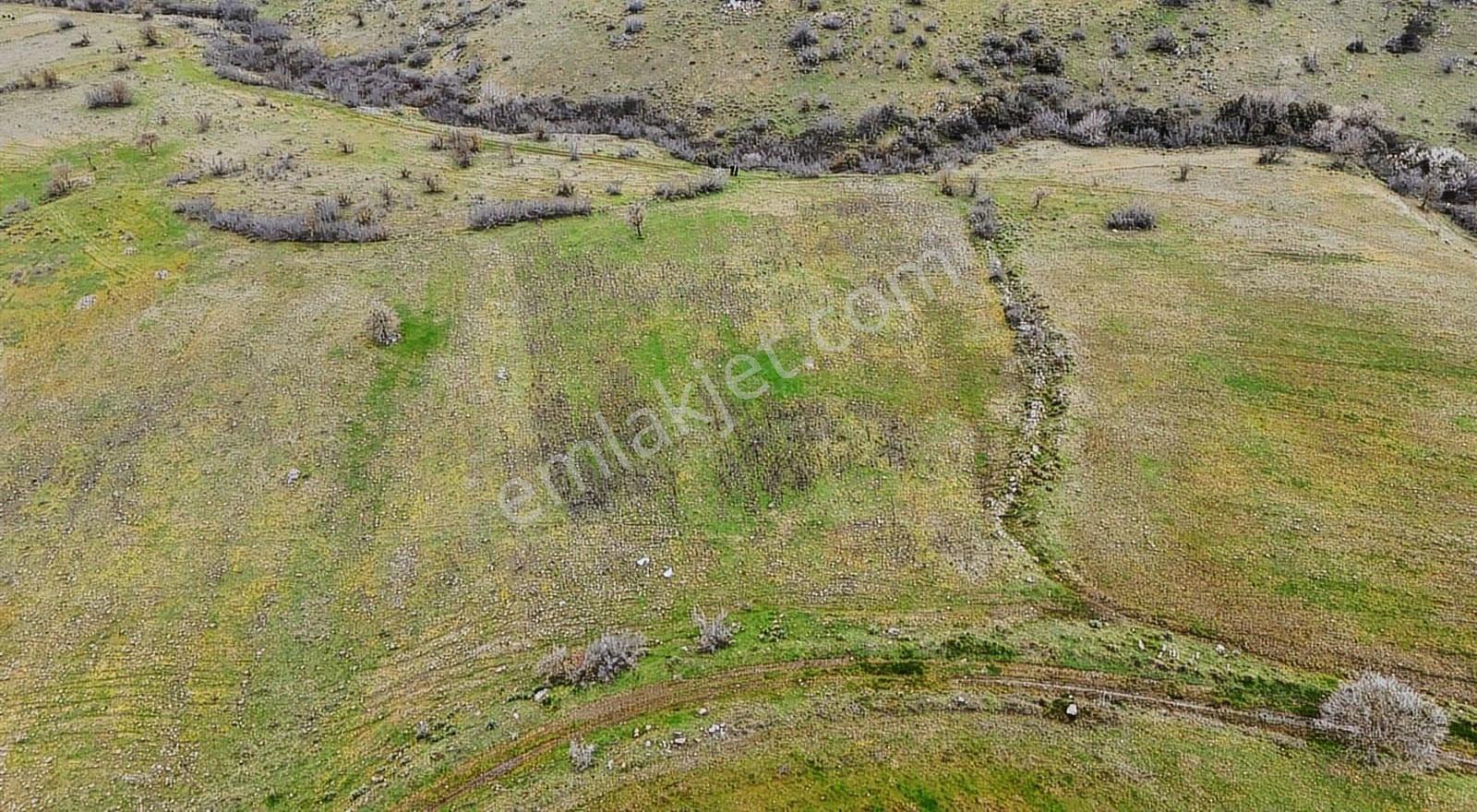 Çeribaşı Mah.satılık Tarla Yatırımlık,yol Cepheli, Genişarazi - Görsel 5