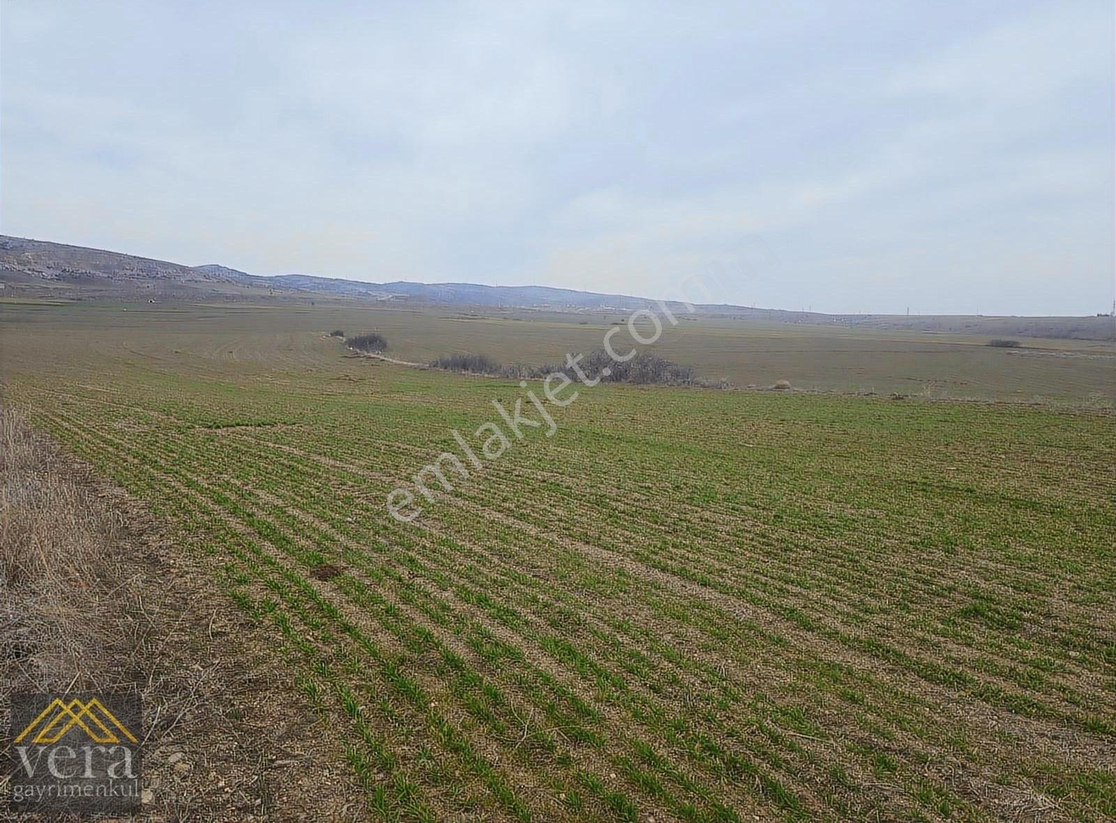 Samsun Yoluna 2 Km Mesafede Tek Tapu 12486 M2 İmarlı Sanayi Arsa