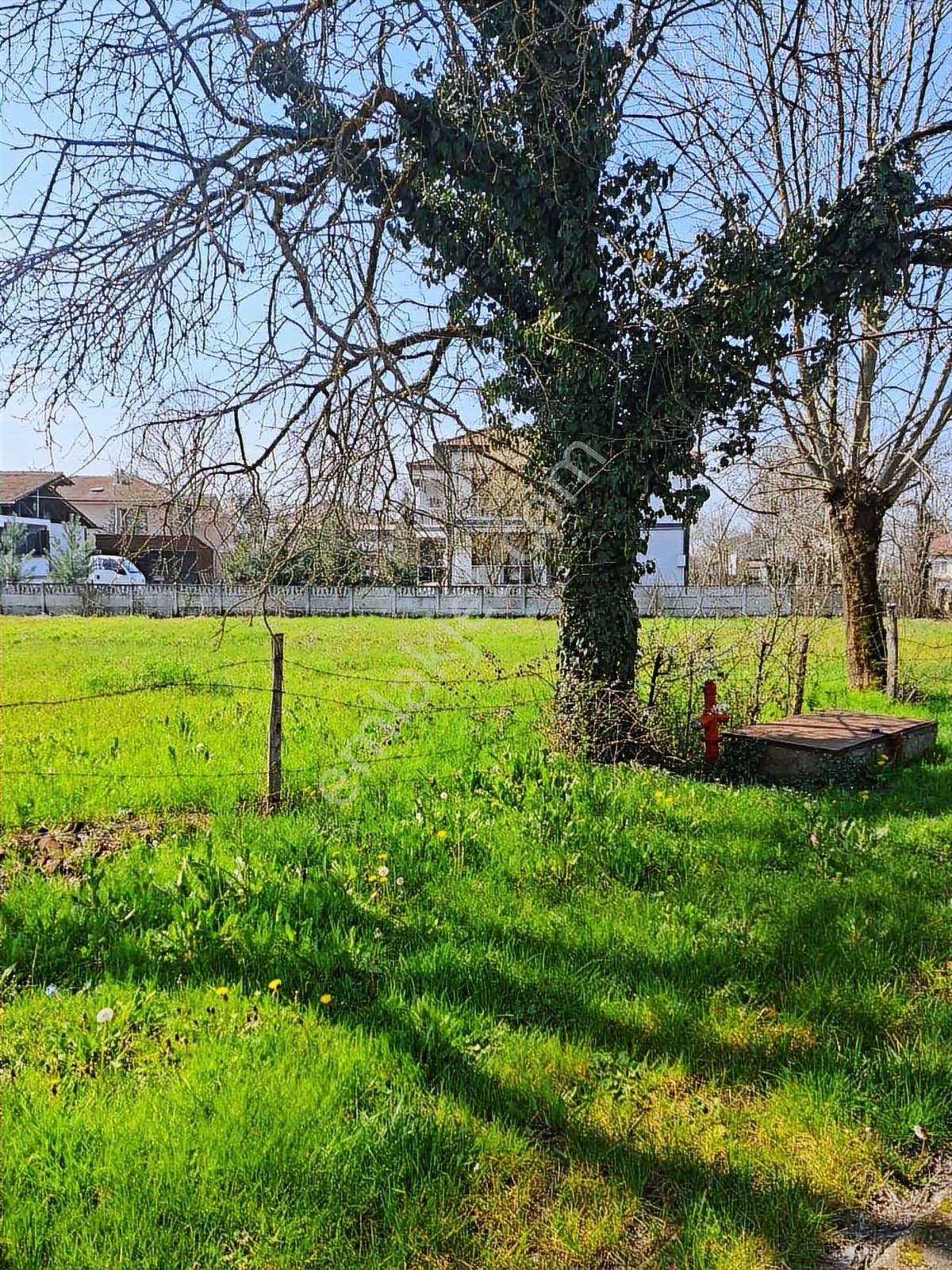 Ruşen Aydın Gyd'dan Düzce Gümüşpınar 'da Satılık Köşebaşı Arsa - Görsel 18