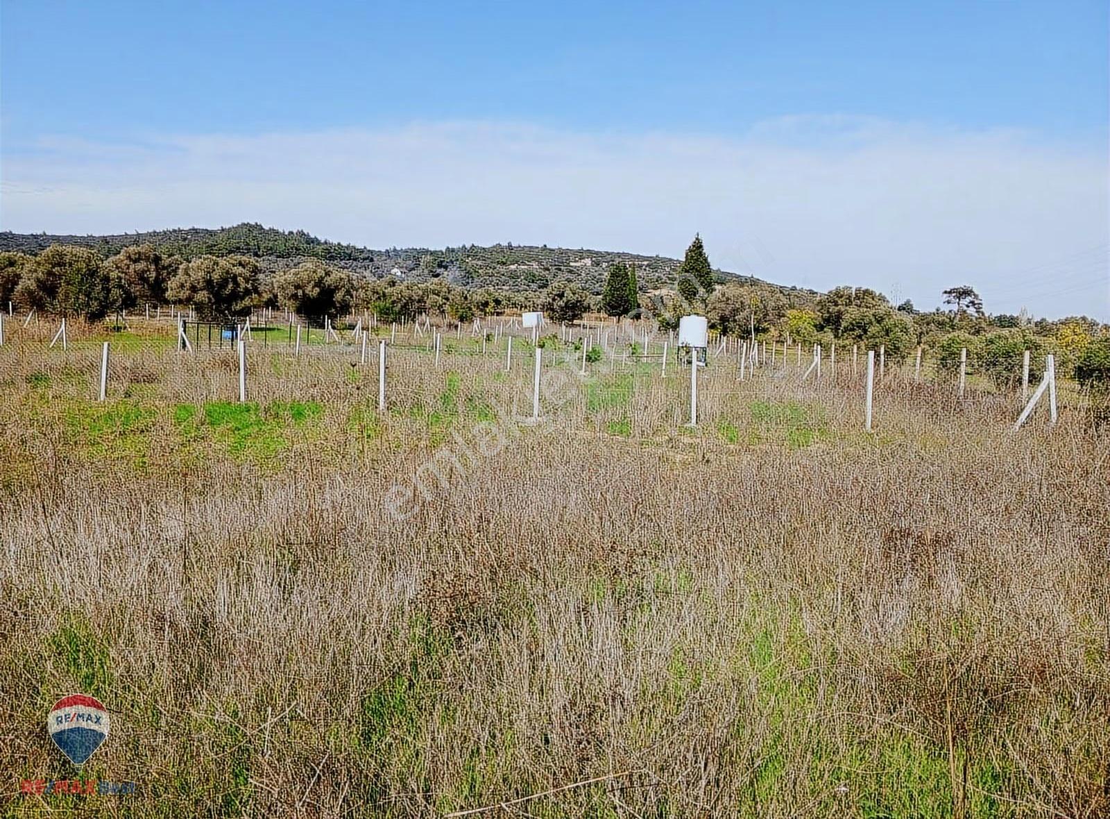 16 Urla Bademler De Satılık Arsa - Görsel 2