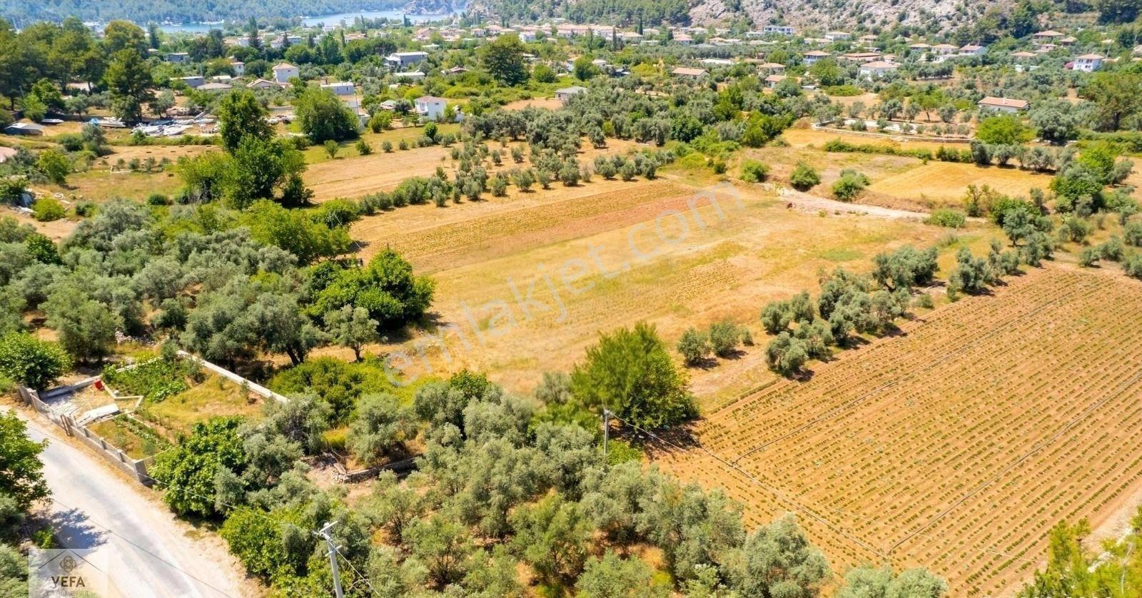 Acil Satılık* Orhaniye'de,elektrik Su Ve Yolu Olan, 947 M2 Tarla - Görsel 10