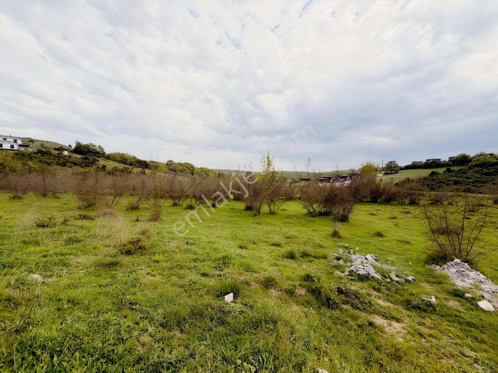 Şile Re/max Anka Güvencesiyle Ormanın Kalbinde %35 Villa İmarlı - Görsel 16