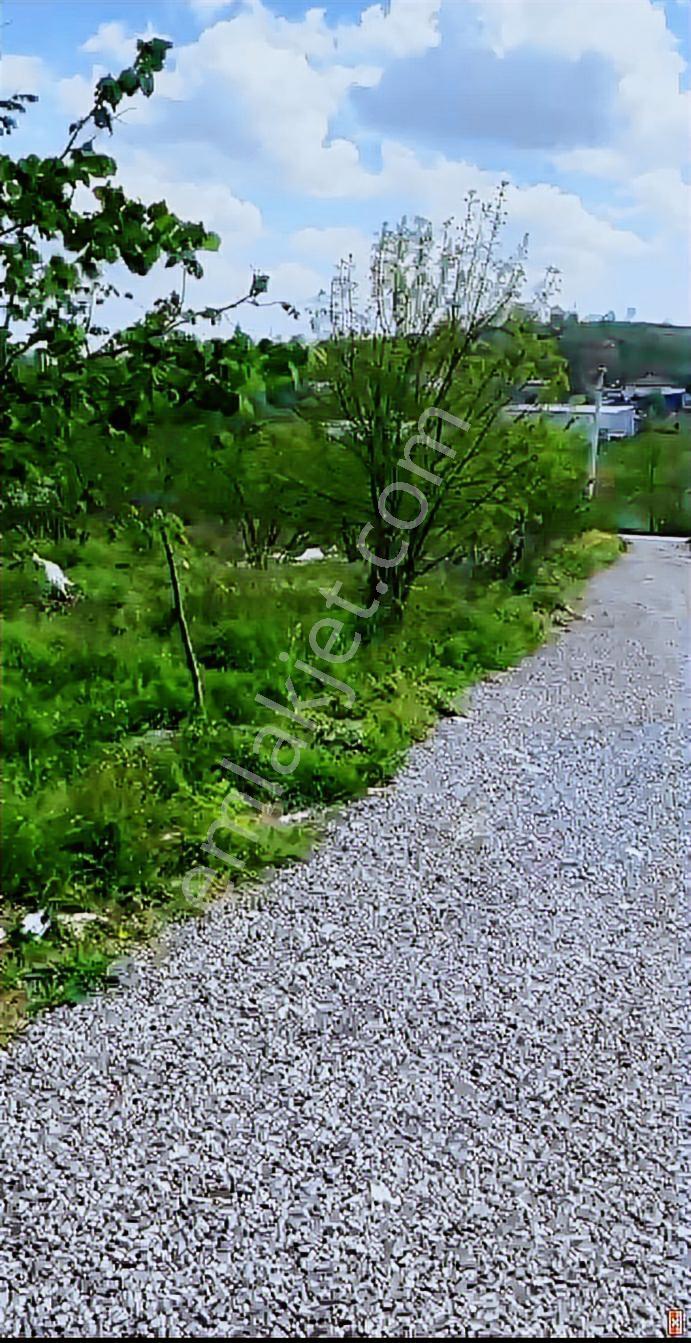 Kaynarca Merkezde 413 M² İmarlı Arsa | 3 Kat | 6 Dairelik Proje - Görsel 7