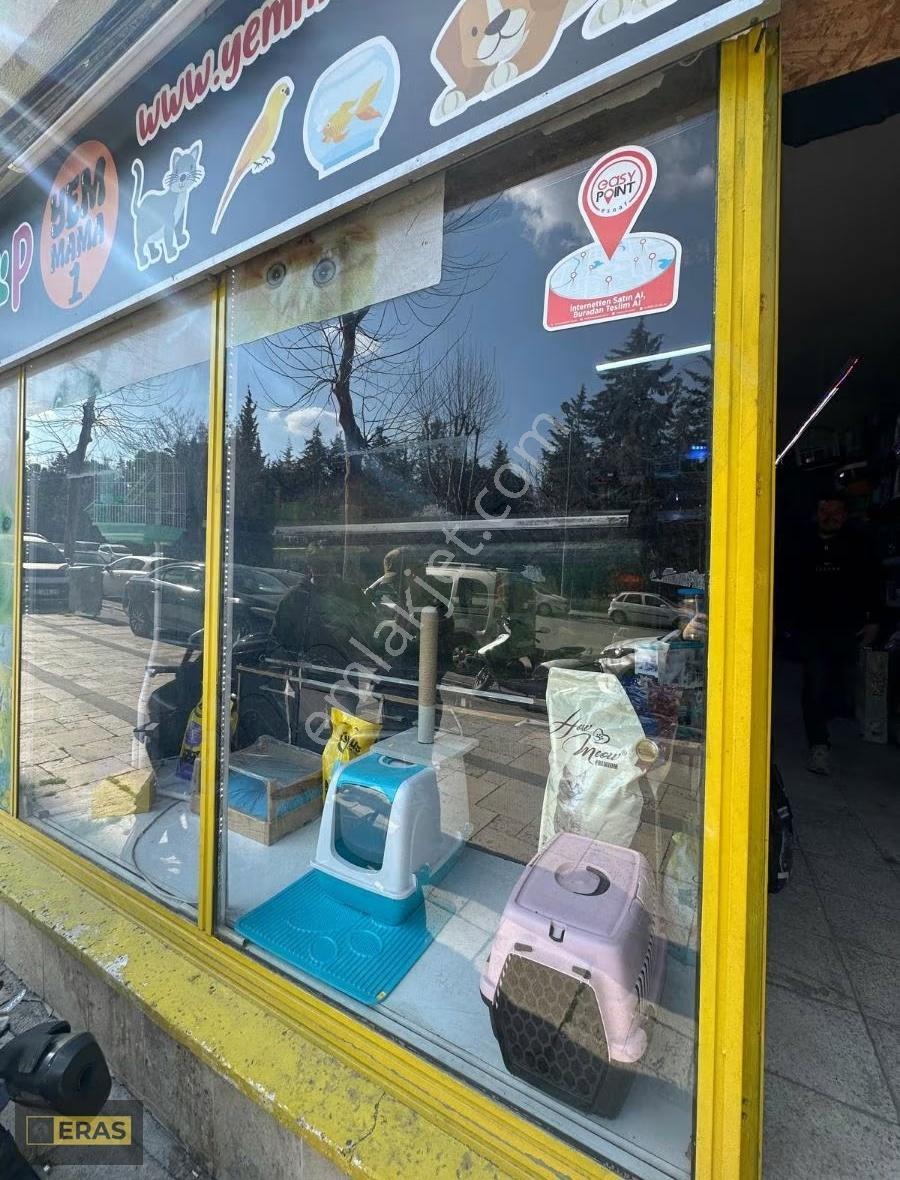 Zübeyde Hanım Caddesinde Devren Kiralık Pet Shop - Görsel 7