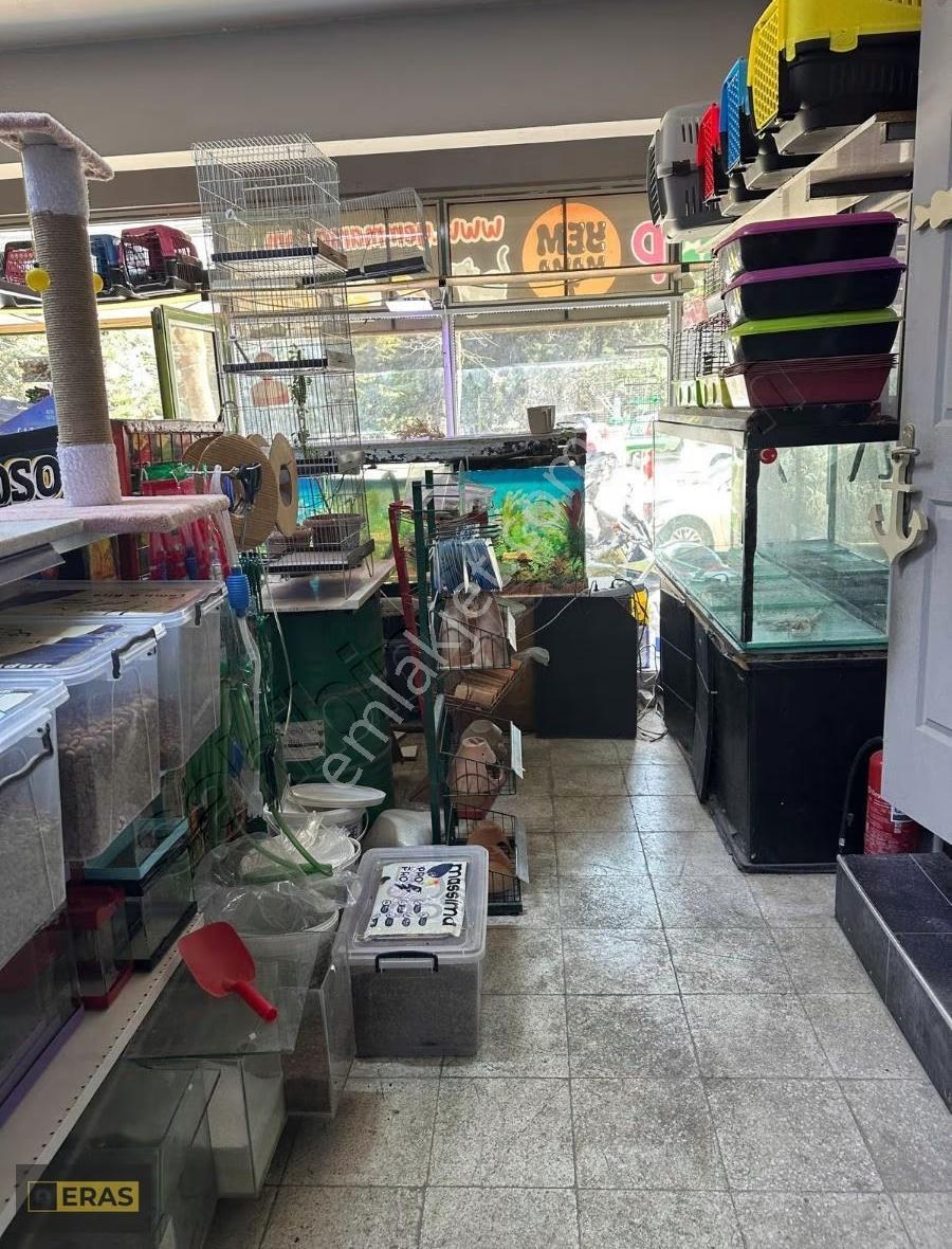 Zübeyde Hanım Caddesinde Devren Kiralık Pet Shop - Görsel 6