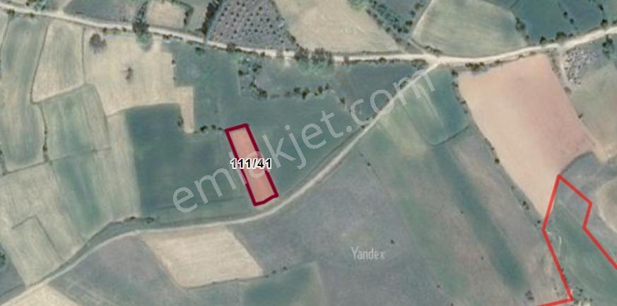 Köy Merkezine 1.5 Km Yakınlıkta Resmi Yollu Tarla. - Görsel 6