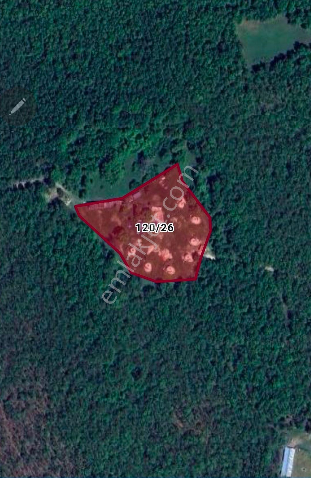 Kırklareli İğneada Longoz Ormanında Mocampa Uygun Fırsat 10838 M2 Tarla - Görsel 9