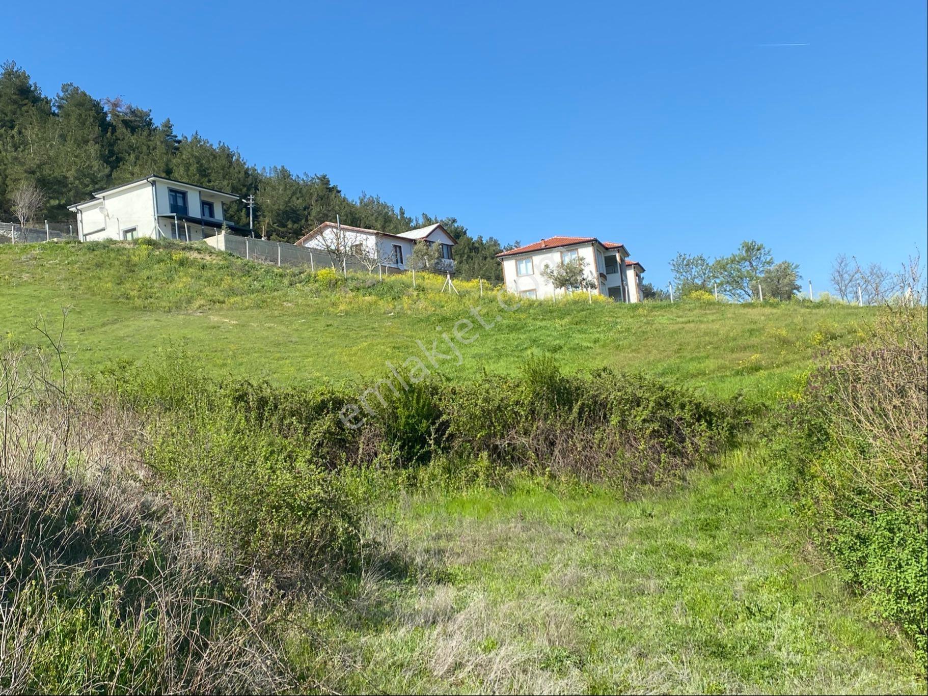 Remax Maviden Taraklı Hacıyakup Ta Yatırıma Uygun İmarlı Arsa - Görsel 4