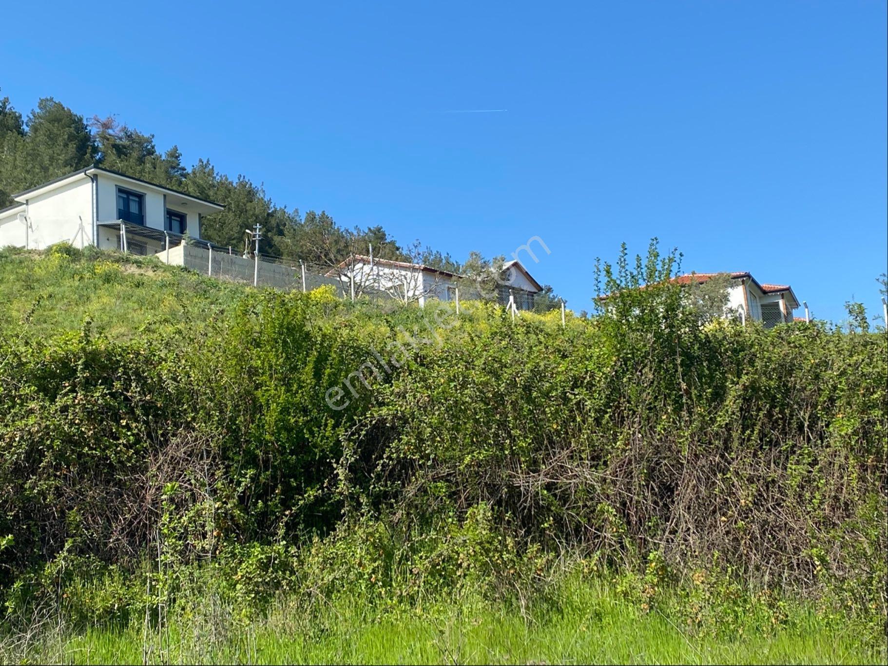 Remax Maviden Taraklı Hacıyakup Ta Yatırıma Uygun İmarlı Arsa - Görsel 15