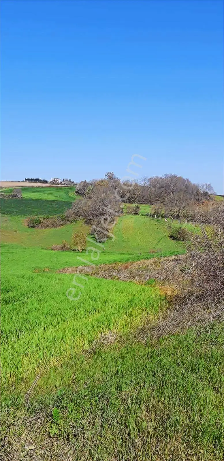 Emlakyap Tan Silivri Bekirli De Satılık Tarla
