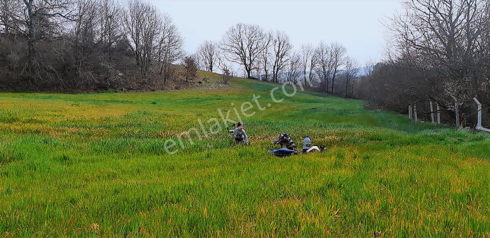 Emlakyap Tan Silivri Bekirli De Satılık Tarla - Görsel 18