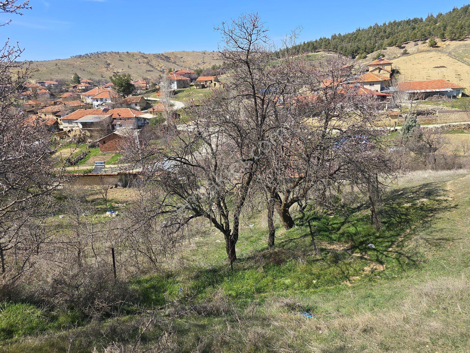 Denizli Çivril Karahacılı'da Köyiçi 1404 M² Tarla. Önü Mera 55 Badem Üzüm Ağaçlı Açıklamayı Okuyunuz - Görsel 25