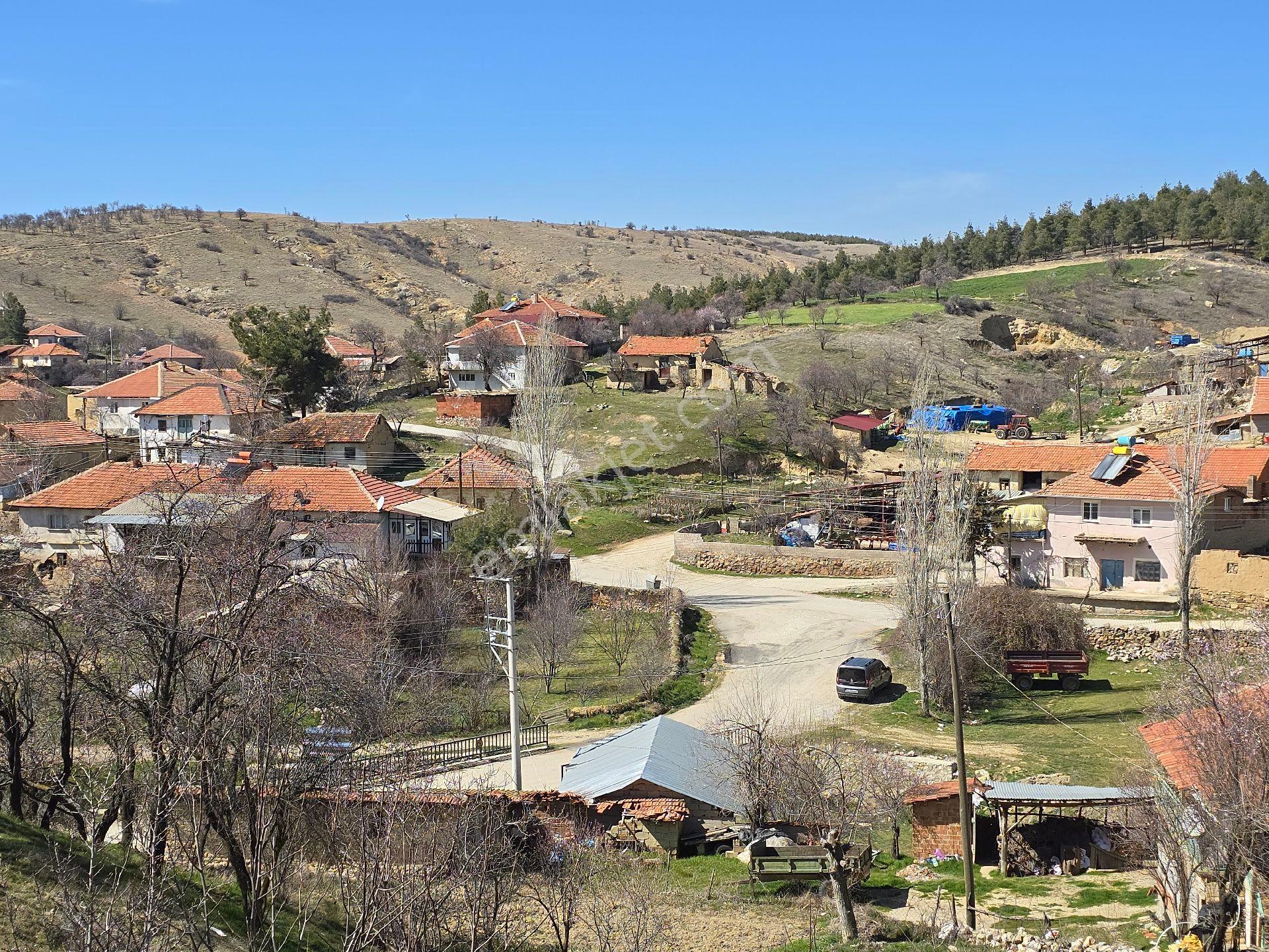 Denizli Çivril Karahacılı'da Köyiçi 1404 M² Tarla. Önü Mera 55 Badem Üzüm Ağaçlı Açıklamayı Okuyunuz - Görsel 31