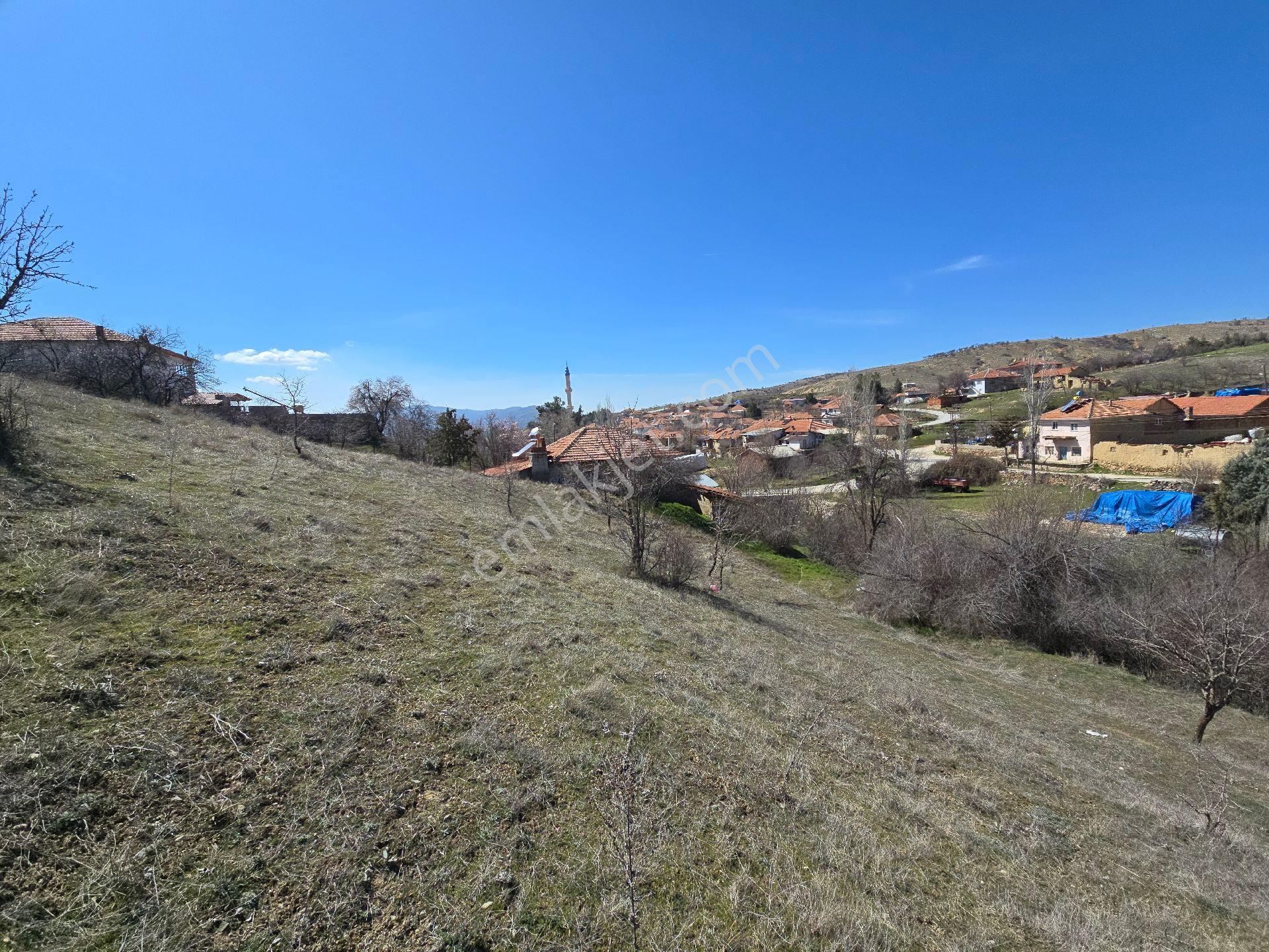 Denizli Çivril Karahacılı'da Köyiçi 1404 M² Tarla. Önü Mera 55 Badem Üzüm Ağaçlı Açıklamayı Okuyunuz - Görsel 15