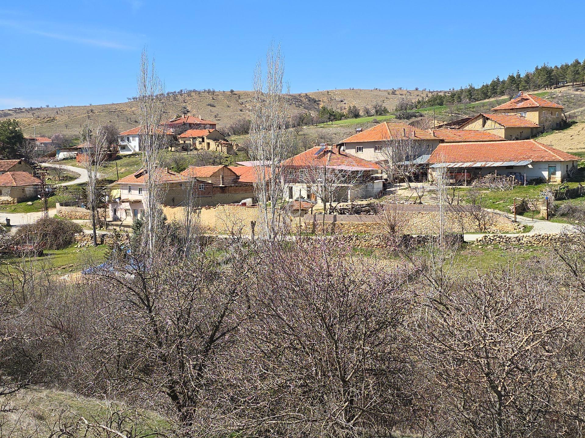 Denizli Çivril Karahacılı'da Köyiçi 1404 M² Tarla. Önü Mera 55 Badem Üzüm Ağaçlı Açıklamayı Okuyunuz - Görsel 18