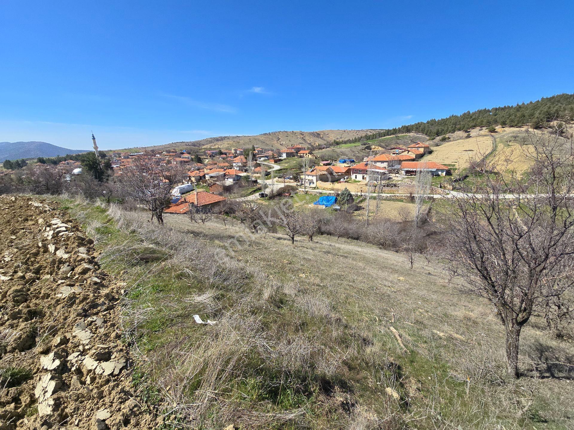 Denizli Çivril Karahacılı'da Köyiçi 1404 M² Tarla. Önü Mera 55 Badem Üzüm Ağaçlı Açıklamayı Okuyunuz - Görsel 8