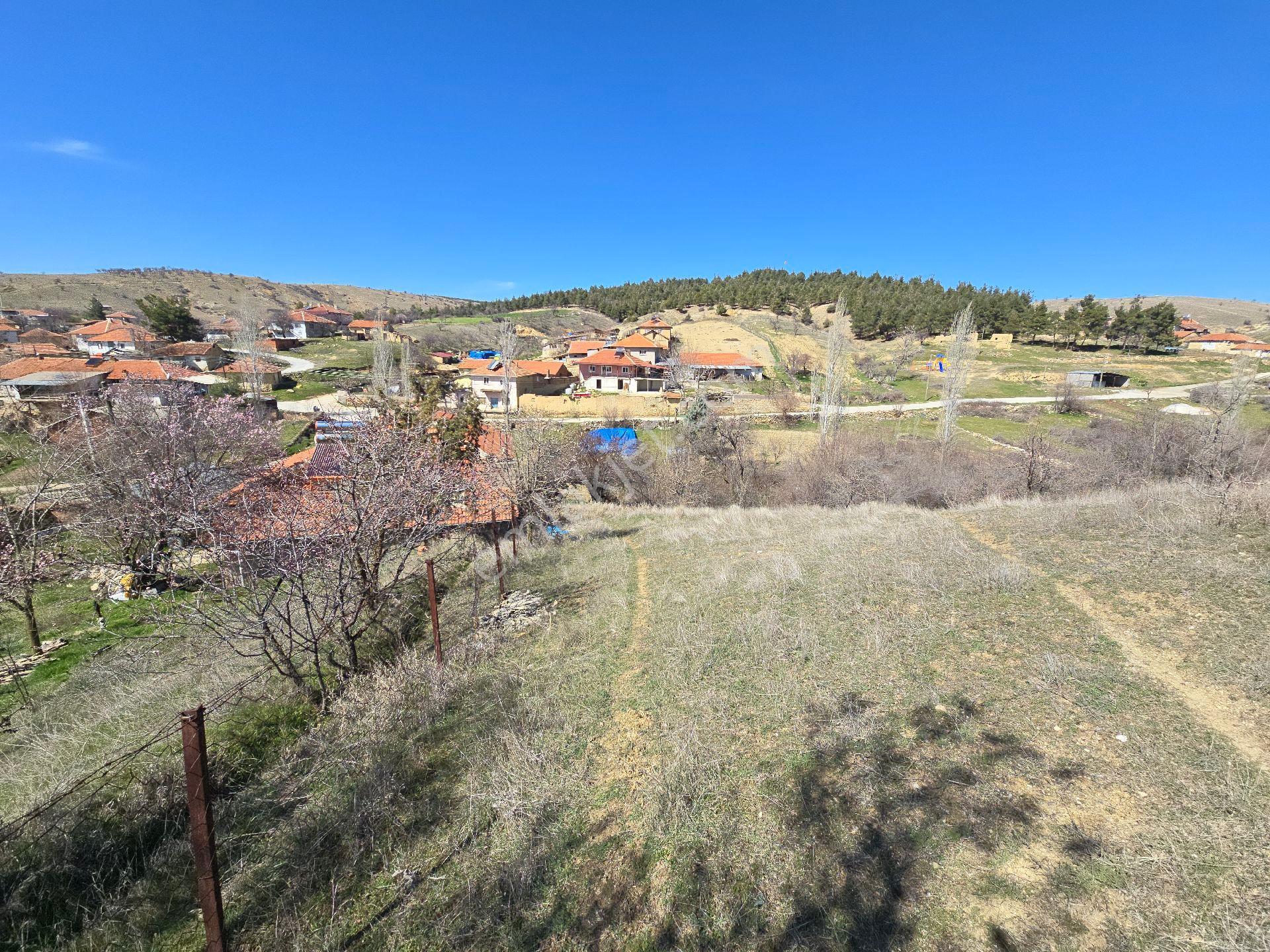 Denizli Çivril Karahacılı'da Köyiçi 1404 M² Tarla. Önü Mera 55 Badem Üzüm Ağaçlı Açıklamayı Okuyunuz - Görsel 13