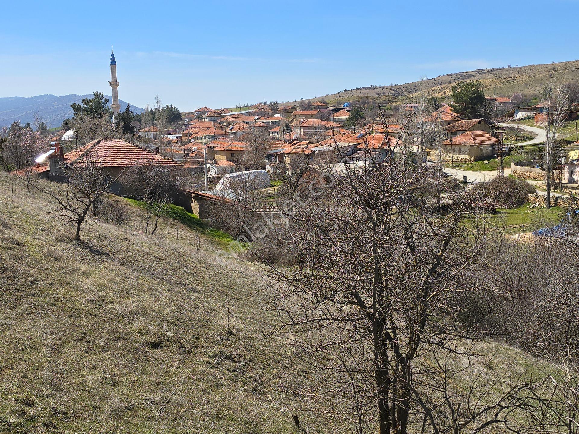 Denizli Çivril Karahacılı'da Köyiçi 1404 M² Tarla. Önü Mera 55 Badem Üzüm Ağaçlı Açıklamayı Okuyunuz - Görsel 19