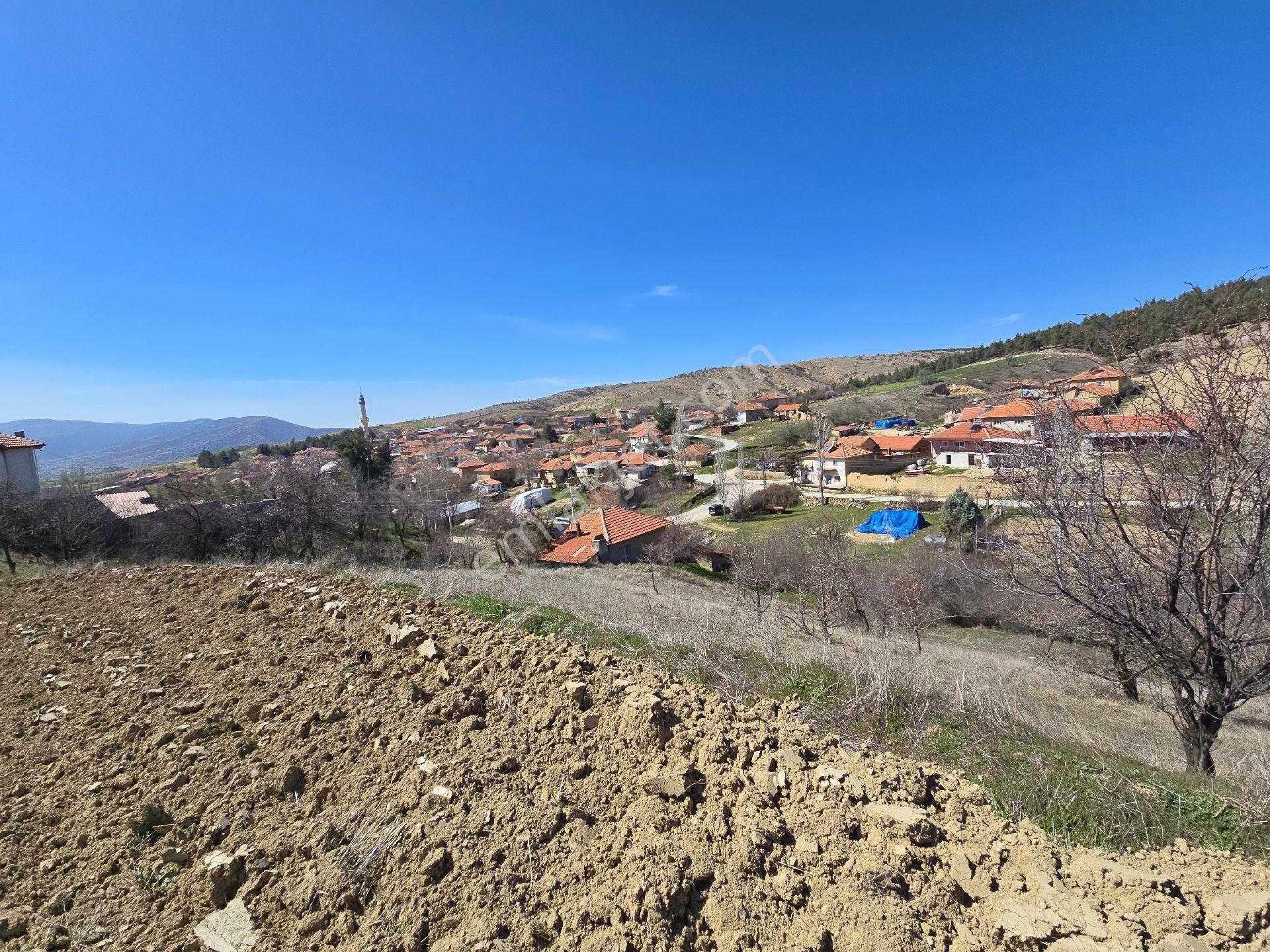 Denizli Çivril Karahacılı'da Köyiçi 1404 M² Tarla. Önü Mera 55 Badem Üzüm Ağaçlı Açıklamayı Okuyunuz - Görsel 9