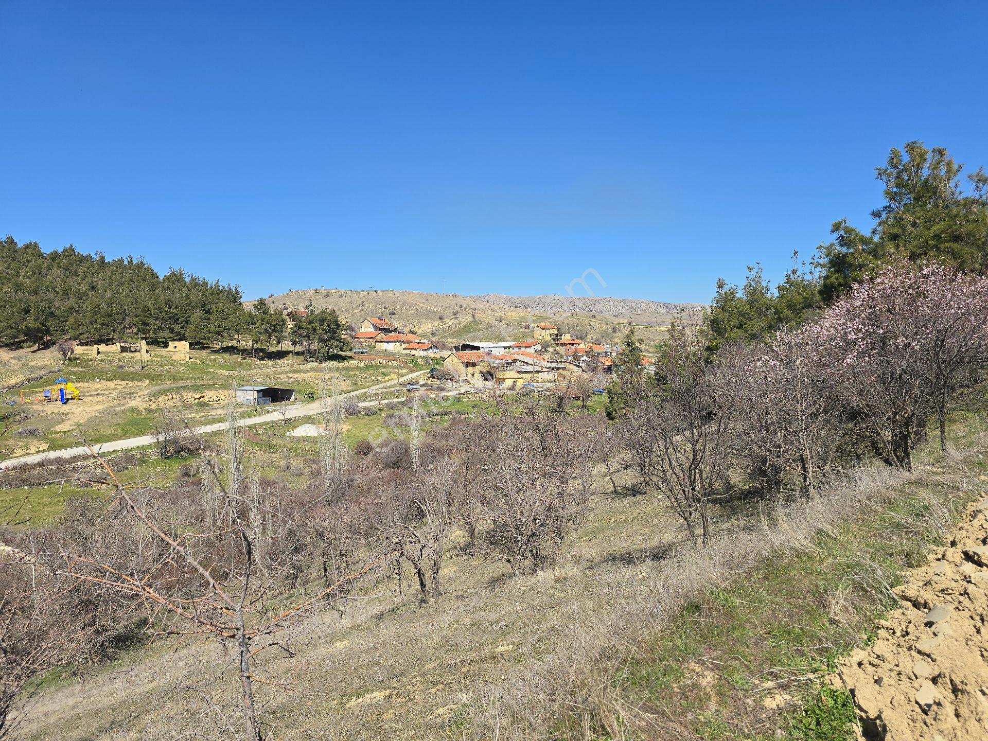 Denizli Çivril Karahacılı'da Köyiçi 1404 M² Tarla. Önü Mera 55 Badem Üzüm Ağaçlı Açıklamayı Okuyunuz - Görsel 10