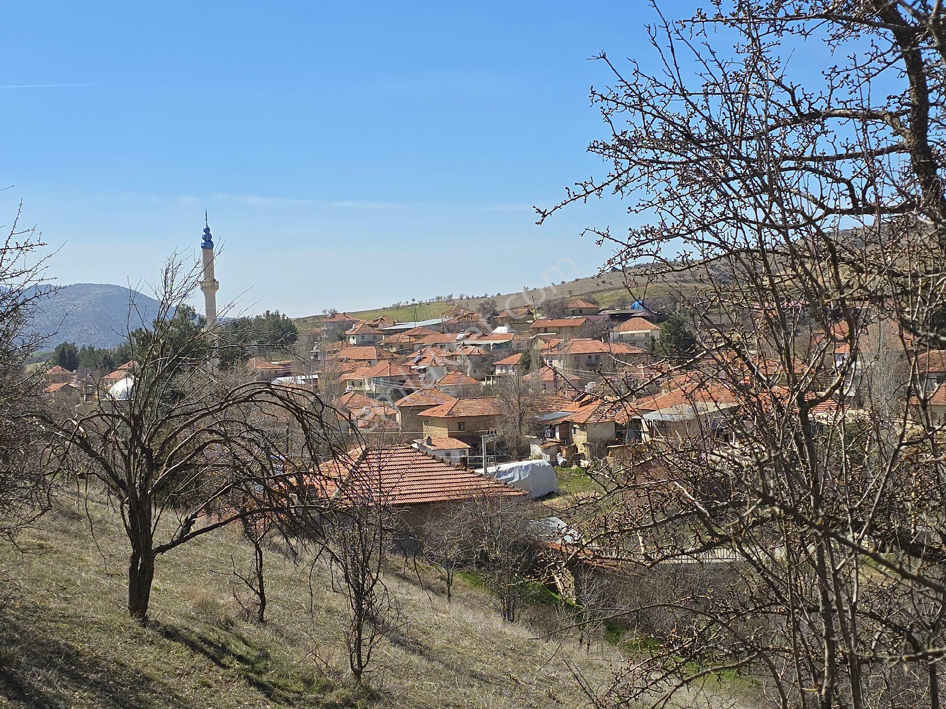 Denizli Çivril Karahacılı'da Köyiçi 1404 M² Tarla. Önü Mera 55 Badem Üzüm Ağaçlı Açıklamayı Okuyunuz - Görsel 20