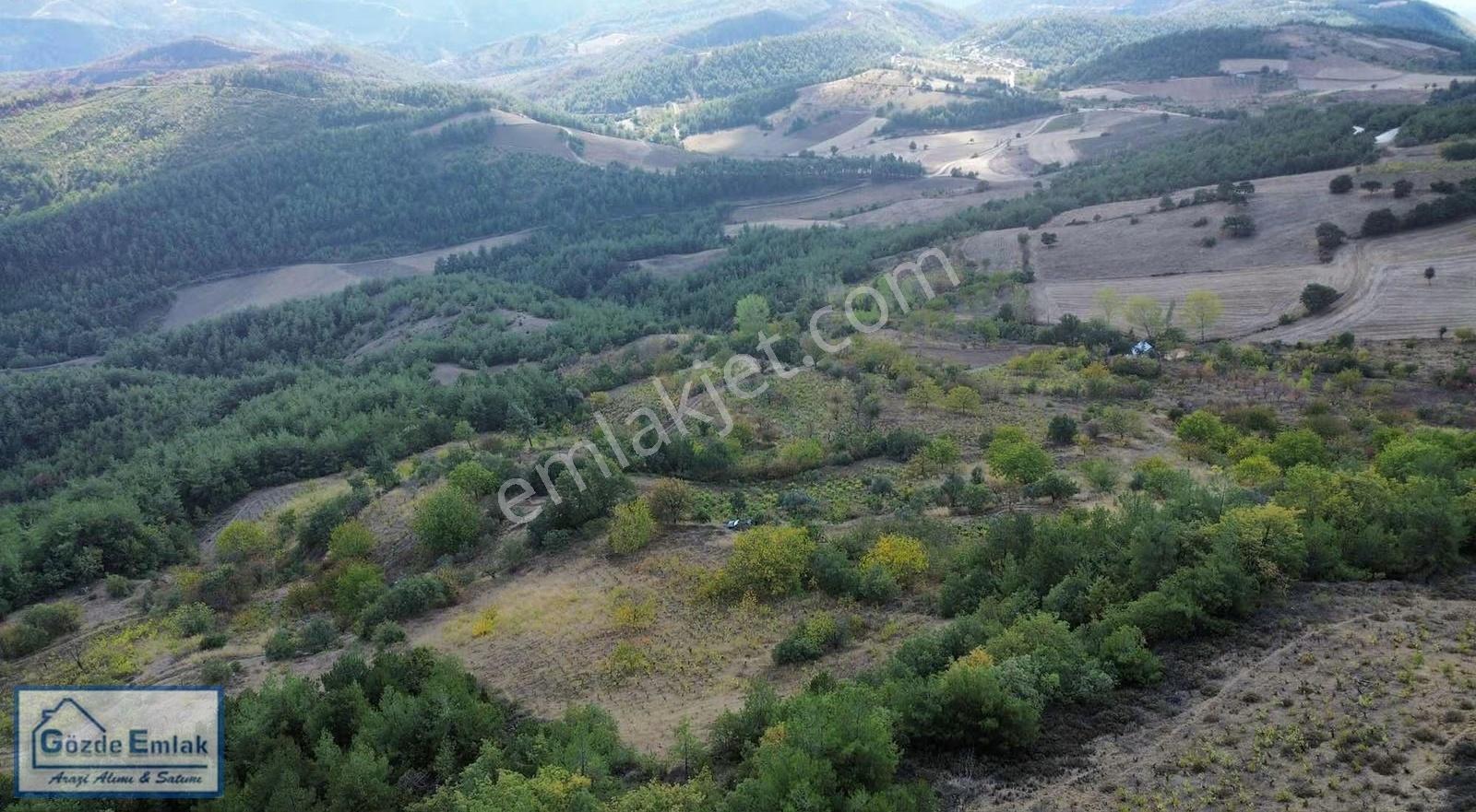 Taraklı Hacıyakup Mah 3012m2 Manzaralı Resmi Yollu - Görsel 15