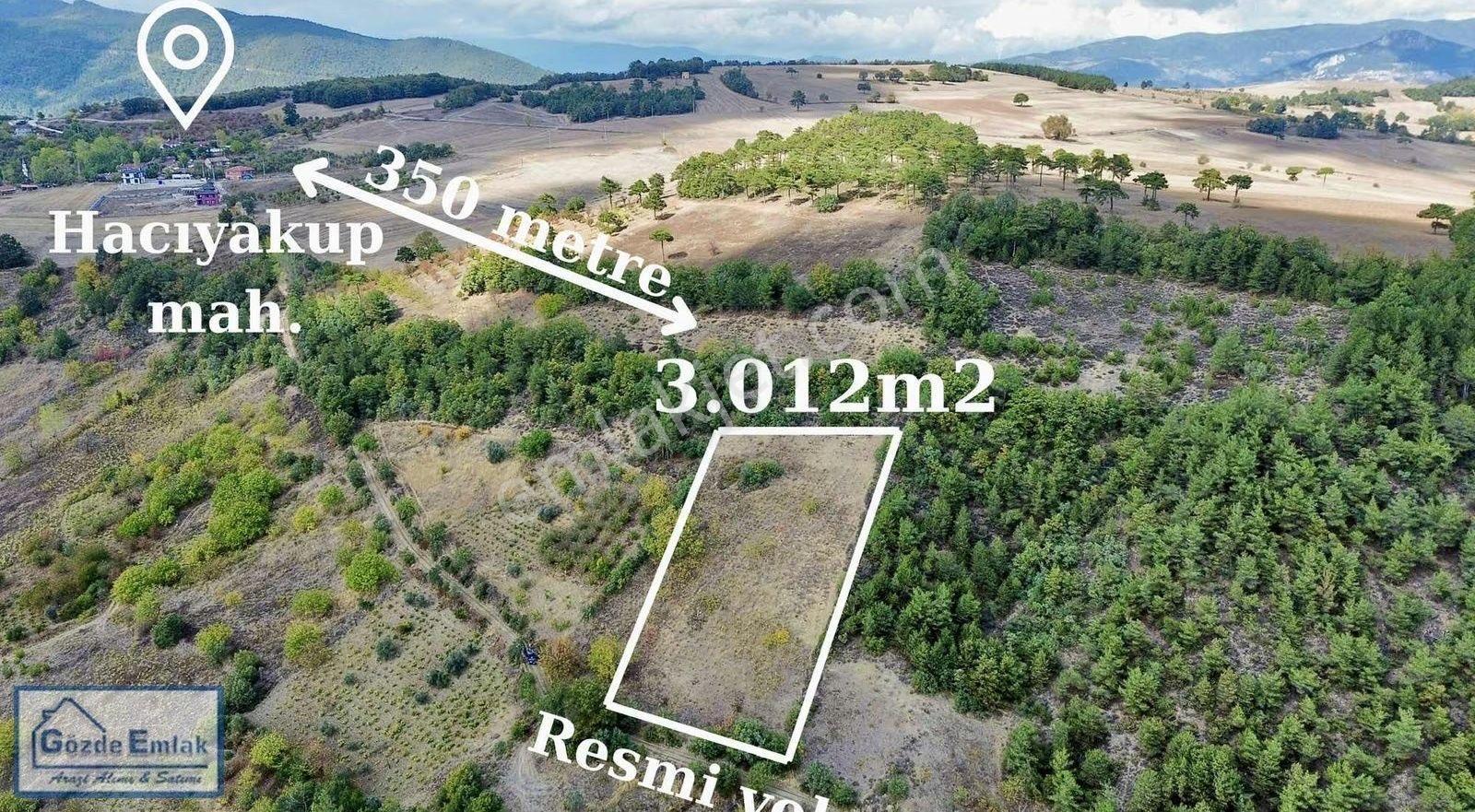 Taraklı Hacıyakup Mah 3012m2 Manzaralı Resmi Yollu - Görsel 5