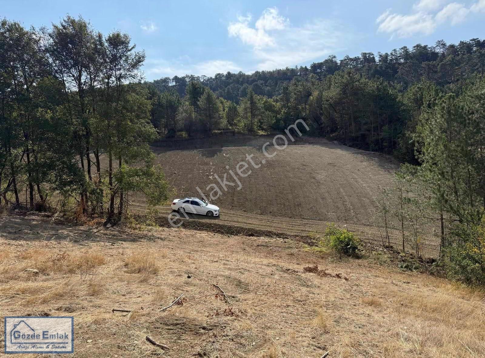 Taraklı Hacıyakup 2663 M2 Resmi Yola Cephe - Görsel 5