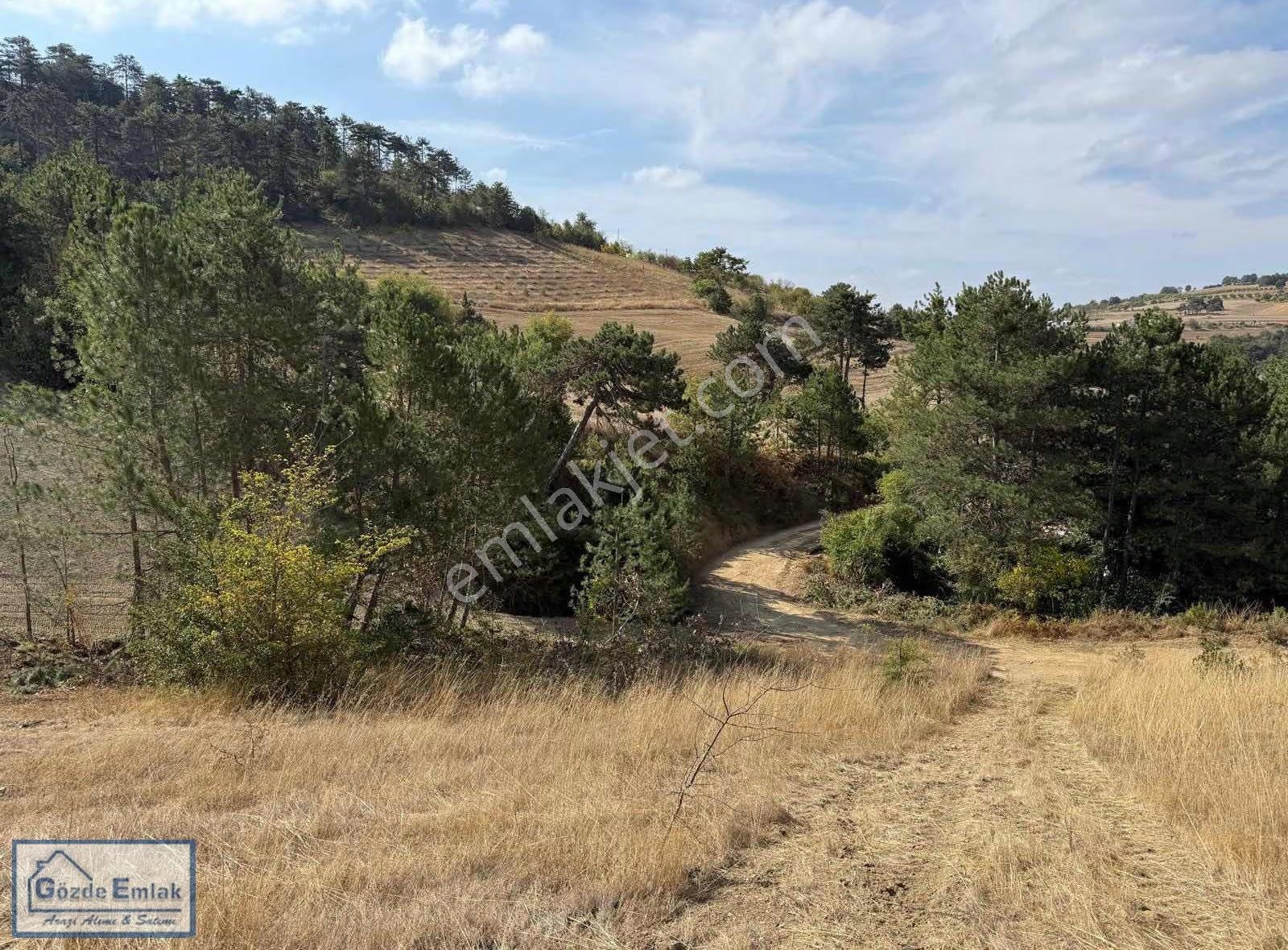 Taraklı Hacıyakup 2663 M2 Resmi Yola Cephe - Görsel 4