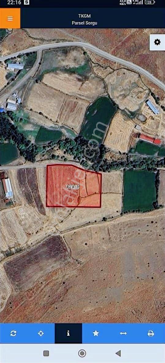 Karakoçan Bulgurcuk (yığ)köyünde Satılık Tarla - Görsel 4