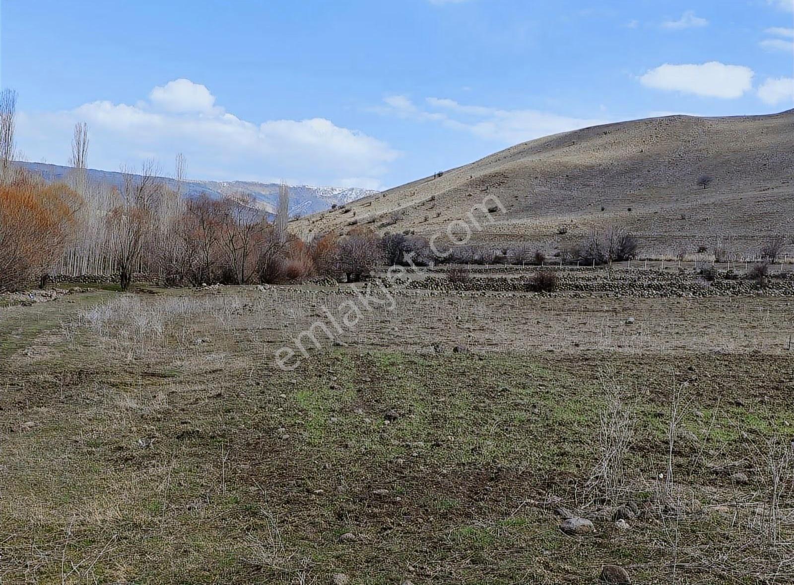Karakoçan Bulgurcuk (yığ)köyünde Satılık Tarla