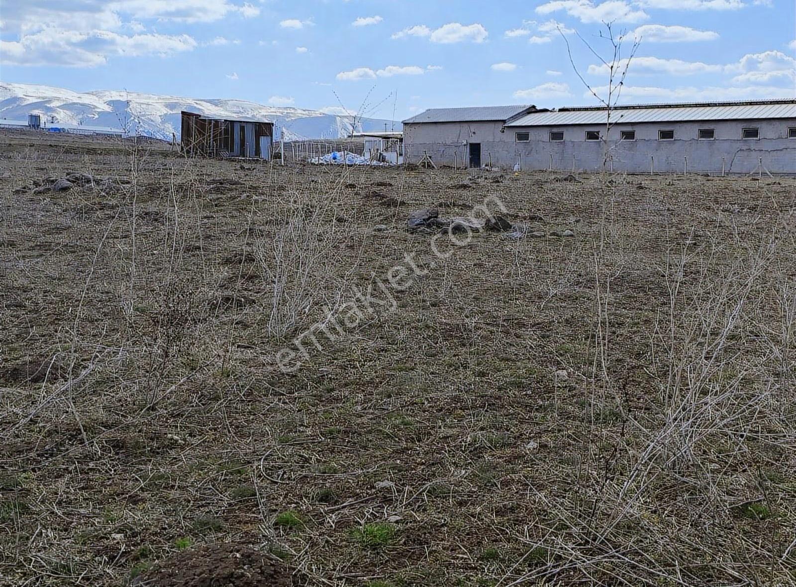 Karakoçan Bulgurcuk (yığ)köyünde Satılık Tarla - Görsel 5