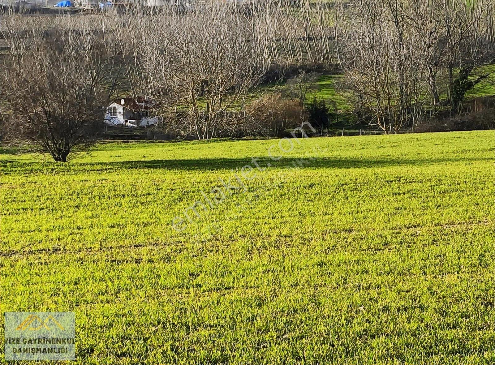 Vize Mehmet Akif Mah. Tek Tapu 11.640 M² Tarla - Görsel 4