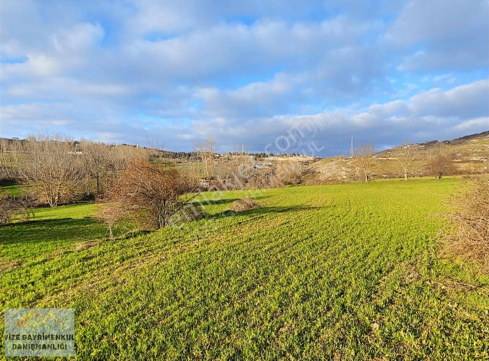 Vize Mehmet Akif Mah. Tek Tapu 11.640 M² Tarla - Görsel 11