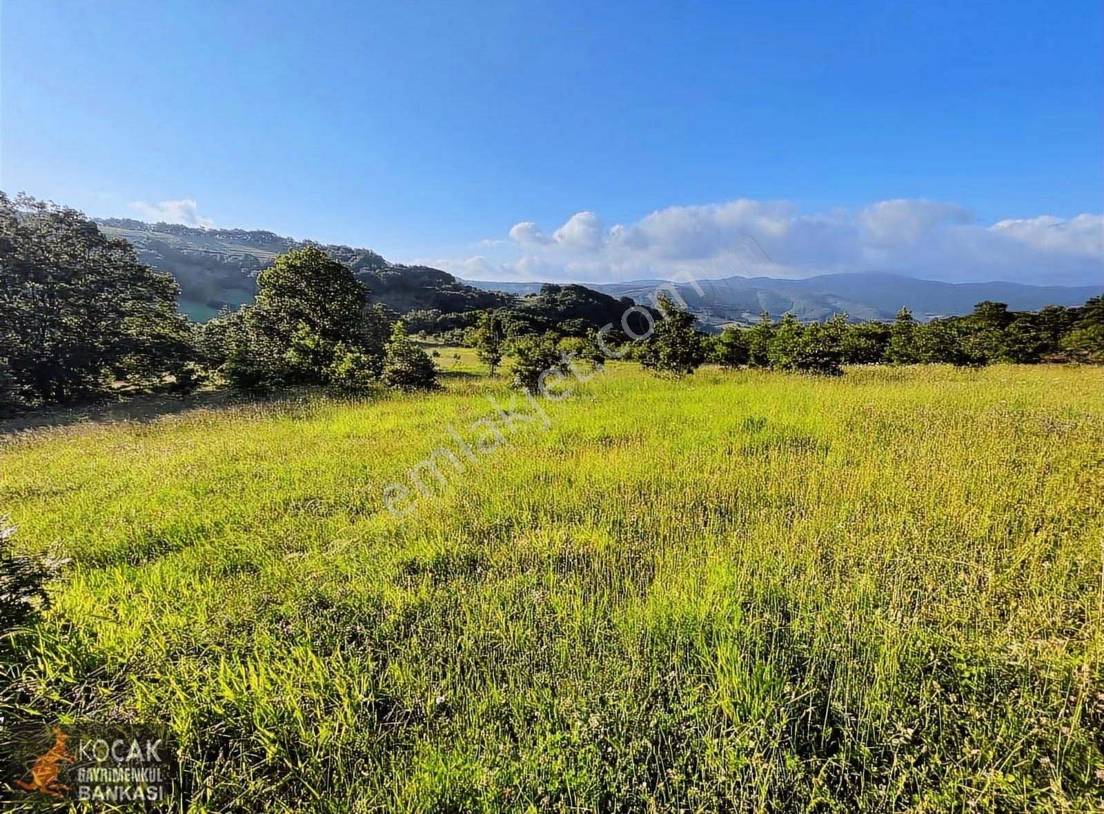 Sarıağıl Mahallesinde Etrafı Erik Bahçesi 7321 M2 Satılık Tarla - Görsel 28