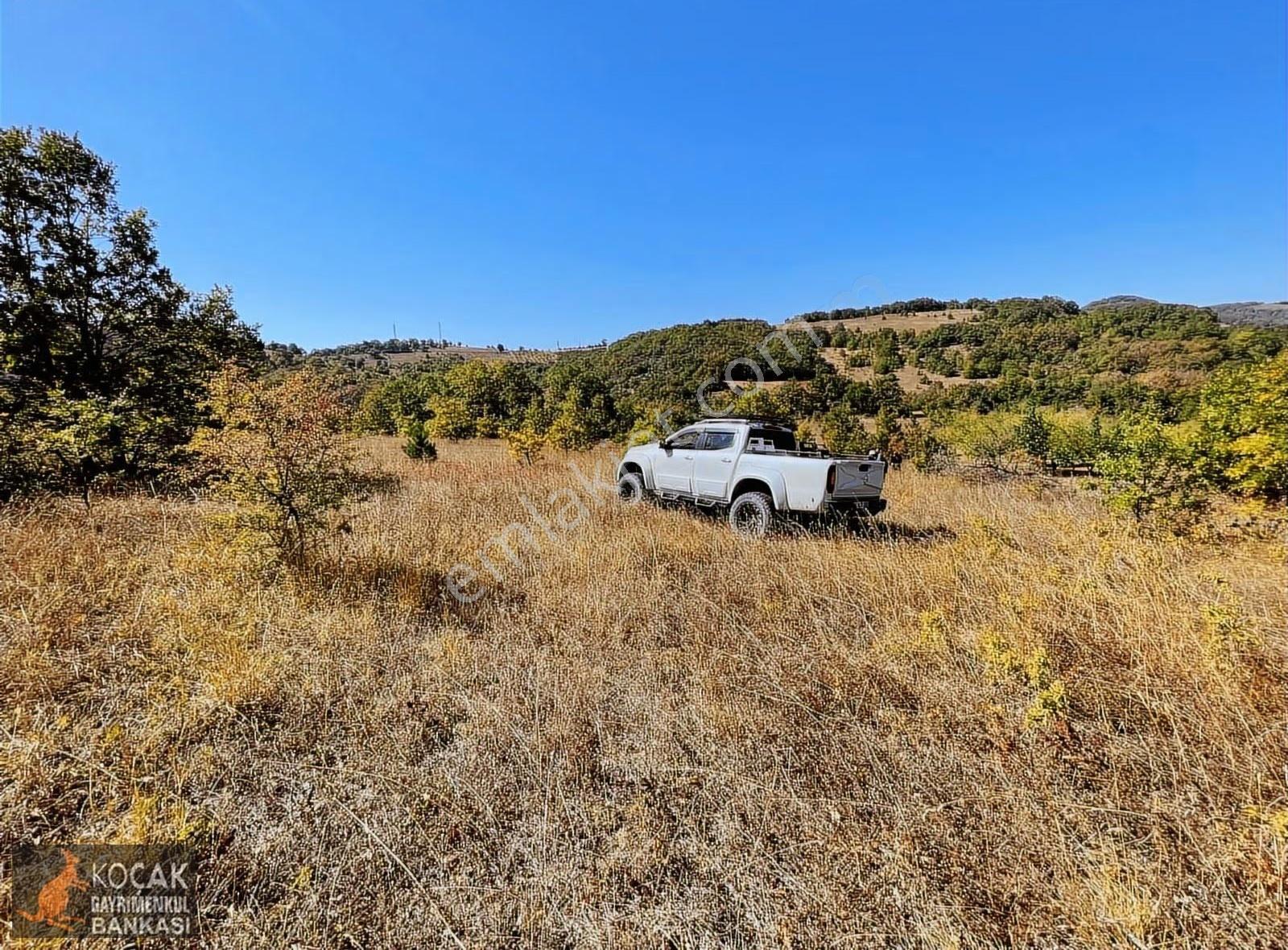 Sarıağıl Mahallesinde Etrafı Erik Bahçesi 7321 M2 Satılık Tarla - Görsel 13