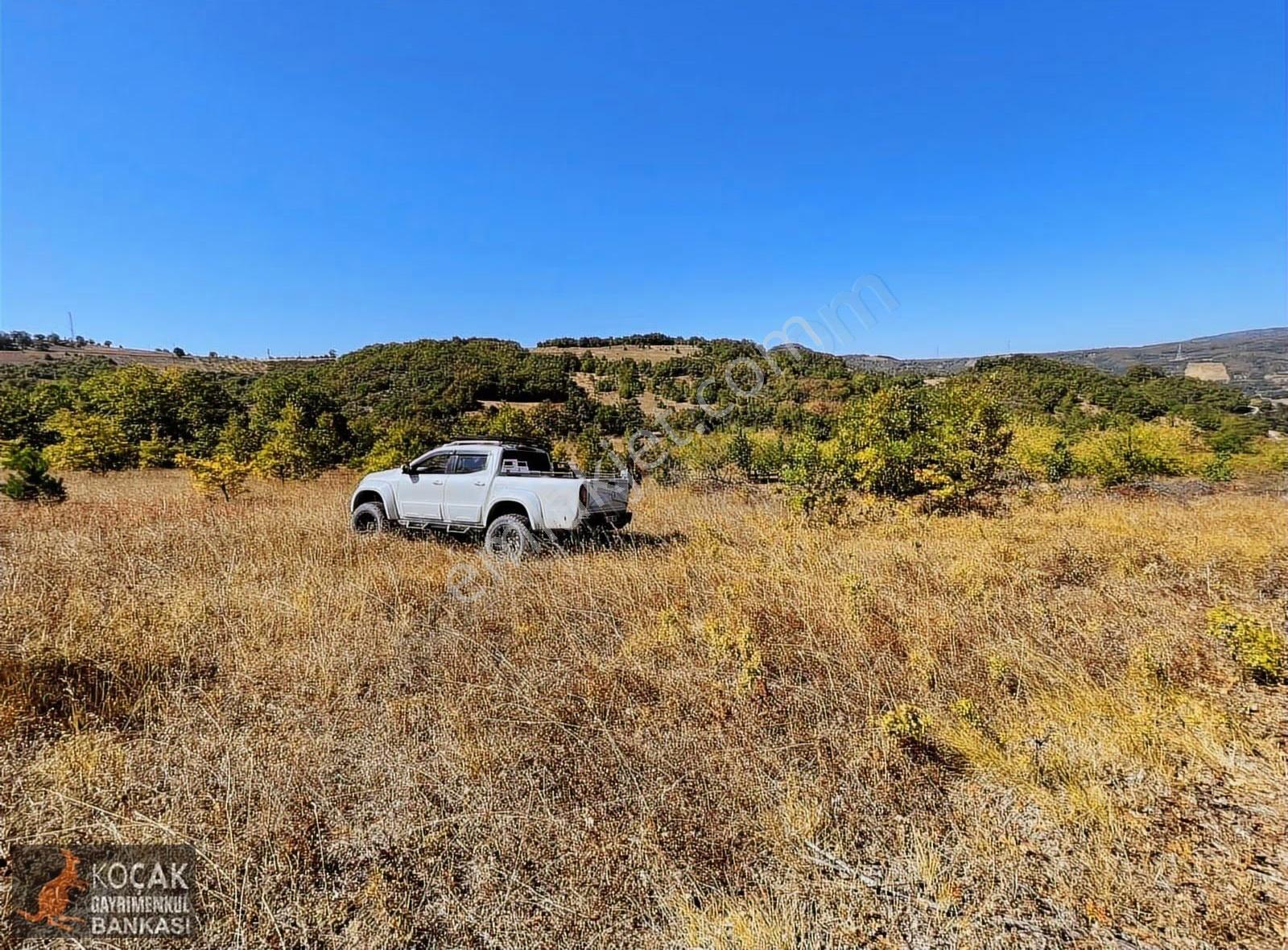 Sarıağıl Mahallesinde Etrafı Erik Bahçesi 7321 M2 Satılık Tarla - Görsel 11