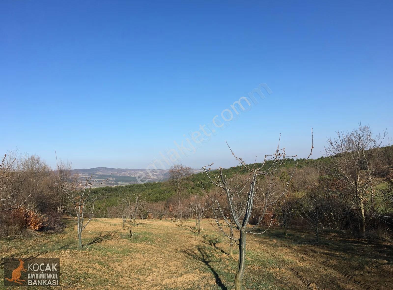 Gölpazarı Alıç Köyünde 4880 M2 Köye Yakın Satılık Bahçe - Görsel 28